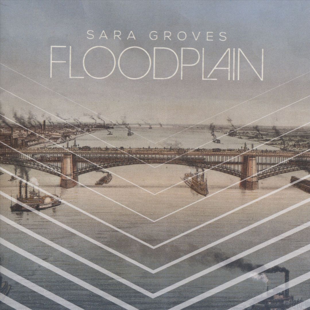 Floodplain cover art